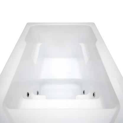 LifeTrend Alta 2 in 1 Hot & Cold Plunge